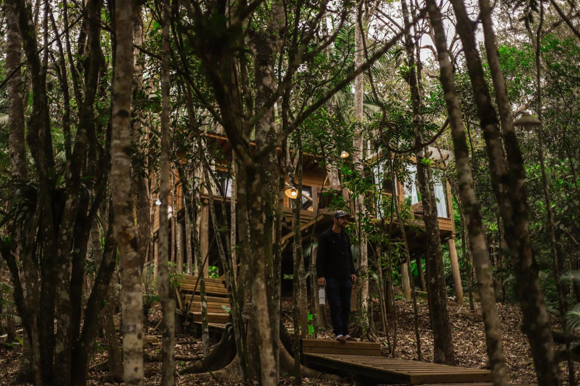 Chale Da Arvore, Vivenda Serra Velha, Chales De Montanha Timbe do Sul المظهر الخارجي الصورة